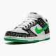 Nike Dunk SB Low Loon 313170 011 Herren/Damen Sportschuhe