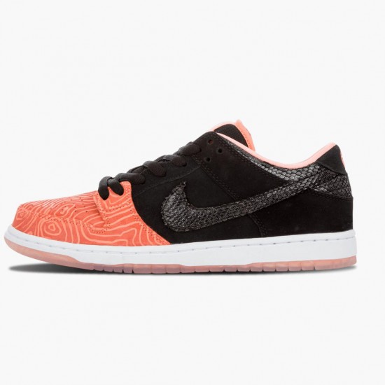 Nike Dunk SB Low Premier Fish Ladder 313170 603 Herren/Damen Sportschuhe