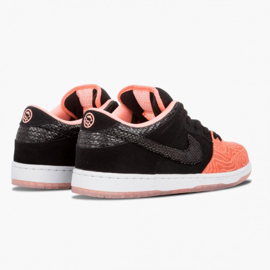 Nike Dunk SB Low Premier Fish Ladder 313170 603 Herren/Damen Sportschuhe