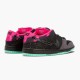 Nike Dunk SB Low Premier Northern Lights 724183 063 Herren/Damen Sportschuhe