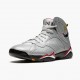 Air Jordan 7 Retro Reflections of A Champion Herren Reflect Silber/Cardinal Rot-Bl BV6281 006 AJ7 Jordan Sneakers